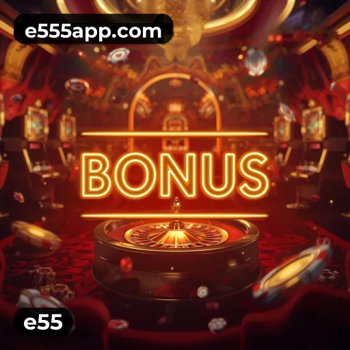 Níveis do programa VIP da e55